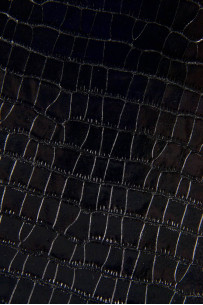 Black CROCODILE embossed... 2