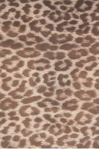 Pelle stampa LEOPARDO... 2