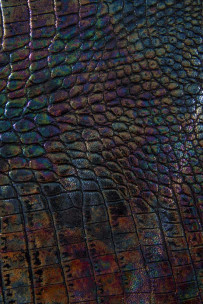 Holographic CROCODILE... 2