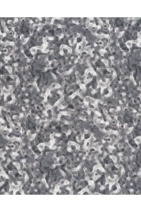 Pellame grigio bianco e... 2