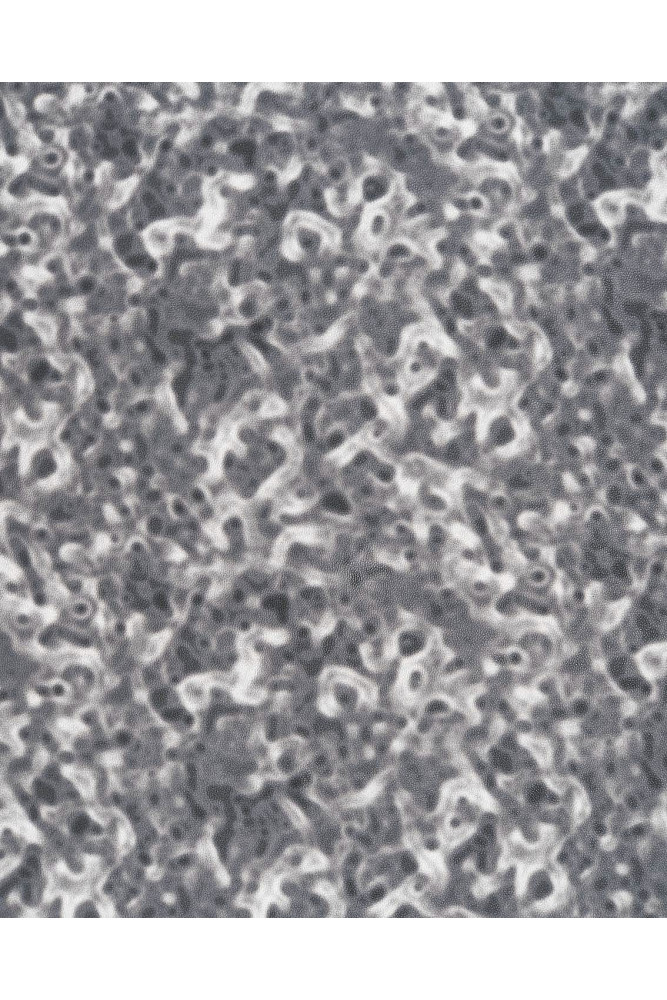 Pellame grigio bianco e nero con...