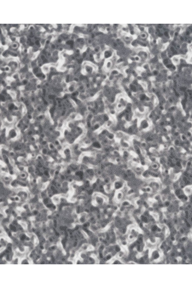 Pellame grigio bianco e nero con stampa ASTRATTA, pelle di nappa super morbida, agnello disegno fantasia per il fai da te