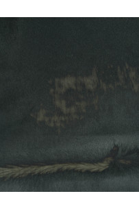 Pelle CAVALLINO verde scuro... 2