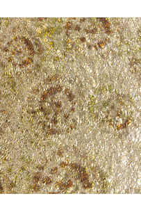 Pelle LAMINATA platino,... 2