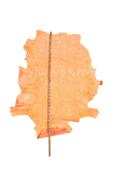 Orange VINTAGE leather skin, big bubble printed sporty goatskin, irregular pebble grain on washed hide