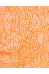 Orange VINTAGE leather... 2