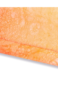 Orange VINTAGE leather...