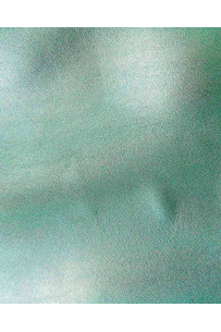 Pelle LAMINATA verde... 2