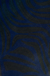 ZEBRA textured hair on... 2