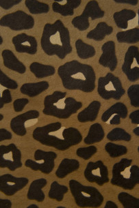 Brown LEOPARD printed hair... 2