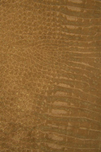 CROCODILE printed hair on... 2