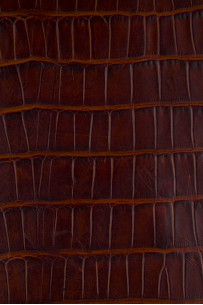 Reddsh brown CROCODILE... 2