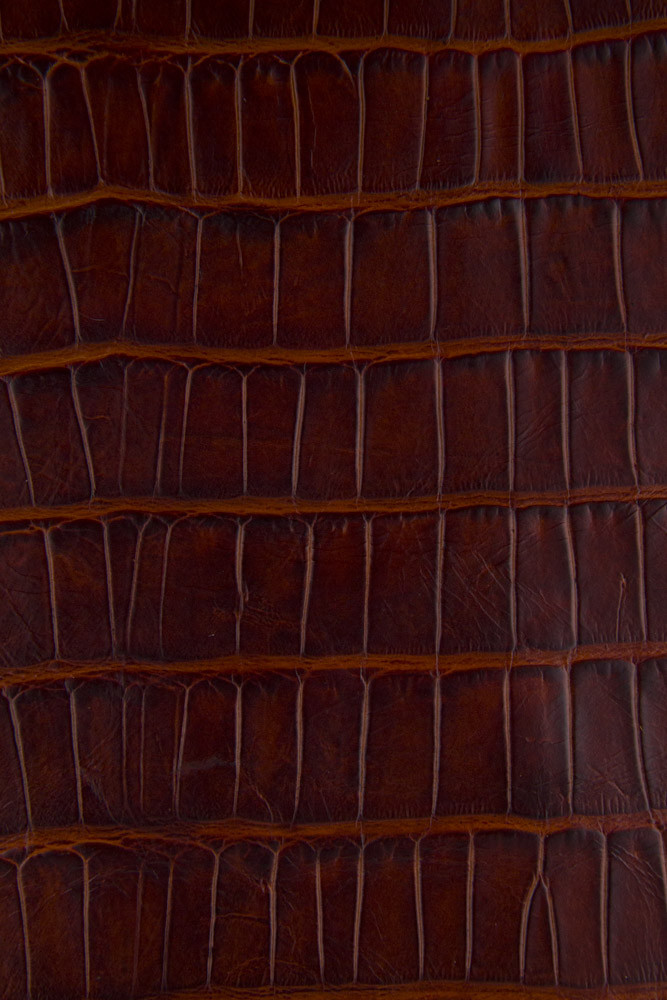 Pellame COCCODRILLO marrone...