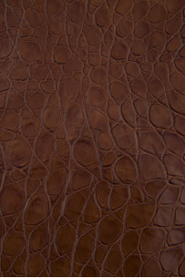 Pelle stampa COCCODRILLO... 2