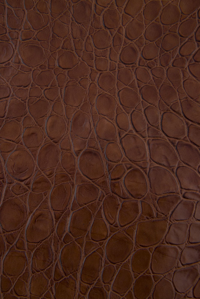Pelle stampa COCCODRILLO marrone,...