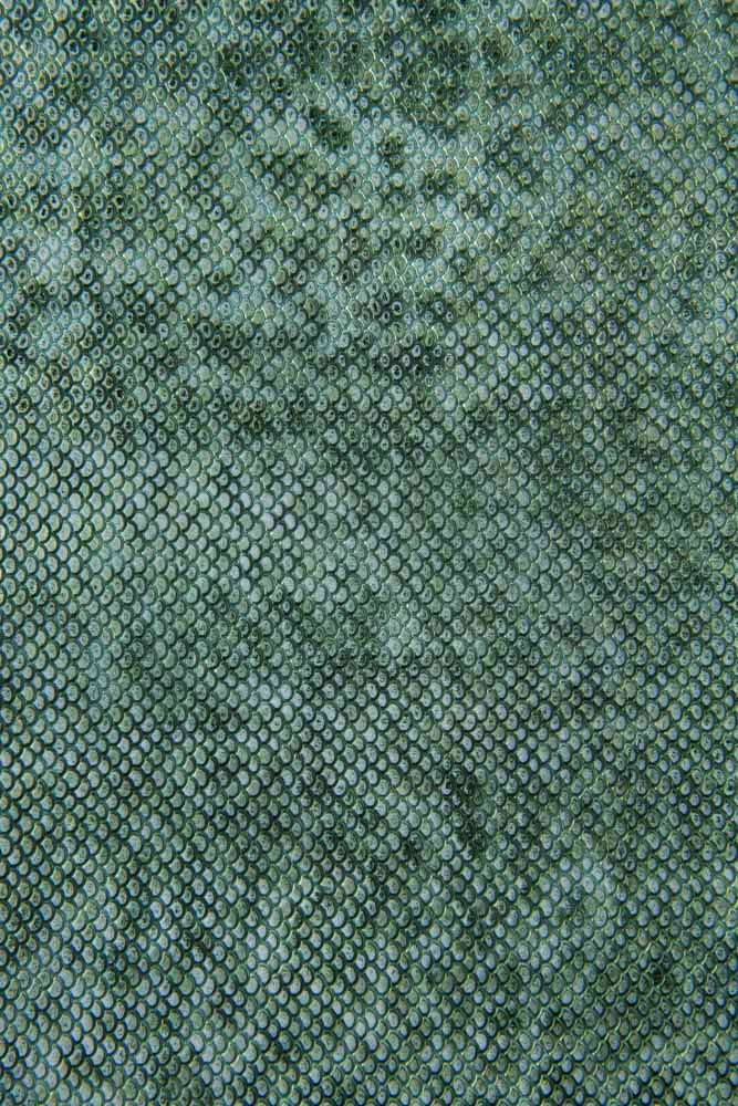 IRIDESCENT python printed leather...