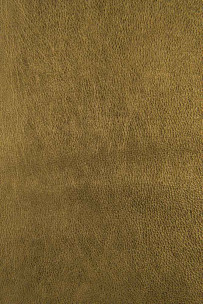 Pelle laminata BRONZO con... 2