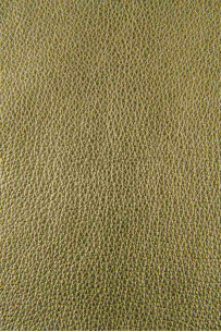 Pelle oro con GRANA,... 2