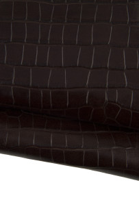 Pelle COCCODRILLO marrone,...