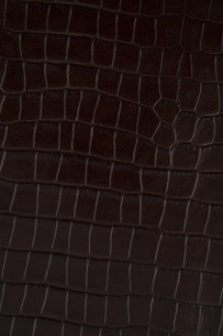 Pelle COCCODRILLO marrone,... 2