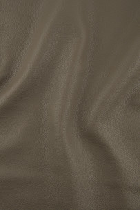 Vitello grana DOLLARO... 2