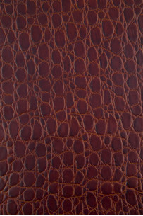 Pelle COCCODRILLO marrone... 2