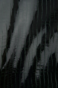 Pelle stampa COCCODRILLO... 2