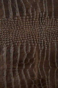Brown CROCODILE embossed... 2