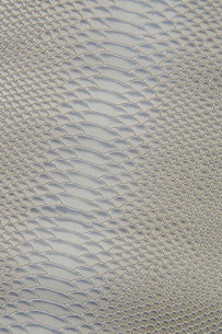 Grey REPTILE embossed... 2