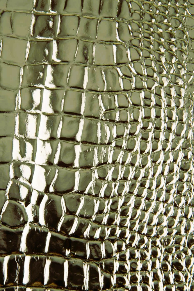 Pelle stampa COCCODRILLO platino,...