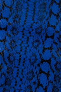 Bluette PYTHON leather... 2