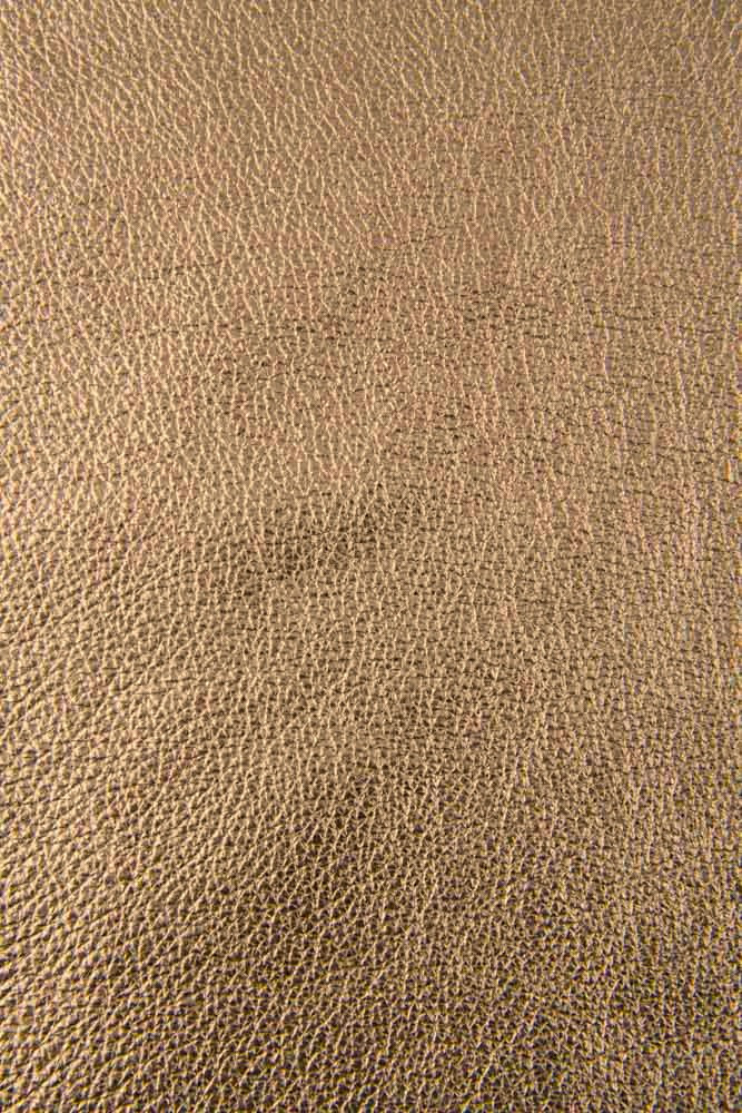 Pellame platino CHAMPAGNE, capra...