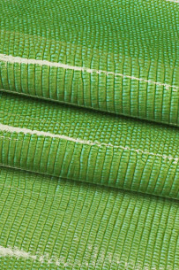 PELLE stampa LIZARD verde,... 2