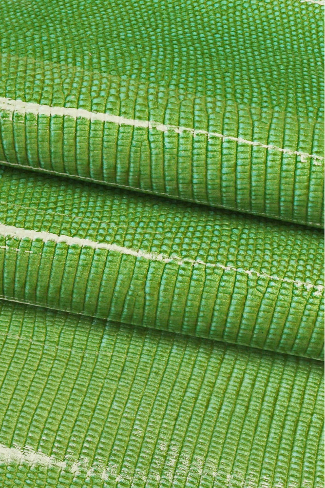 GREEN LIZARD printed patent...