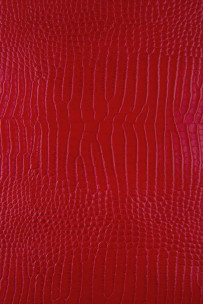 Vitello stampa COCCODRILLO... 2