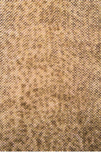 Gold platinum REPTILE... 2