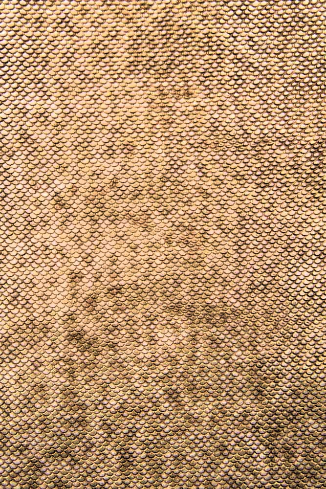 Gold platinum REPTILE leather hide,...