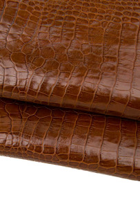 Pelle COCCODRILLO marrone,...
