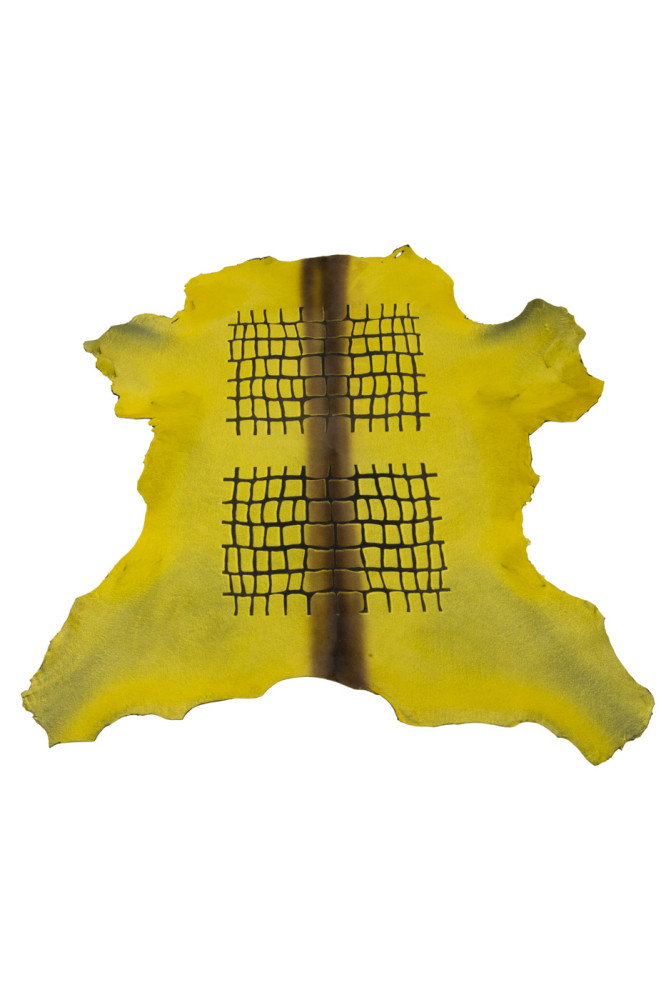 Acid yellow HAIR on leather hide,...