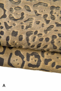 LEOPARD printed hair on...