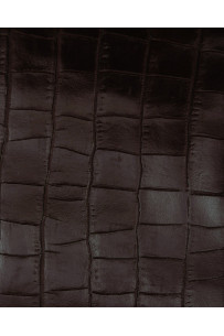 Dark brown CROCODILE... 2