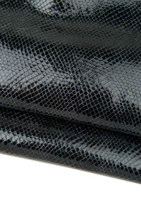 Black REPTILE printed...