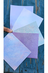 5 Ritagli di pellami unici...