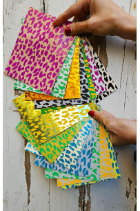 Vibrant CHEETAH and LEOPARD... 2