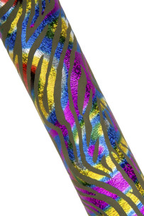 IRIDESCENT multicolor ZEBRA... 2