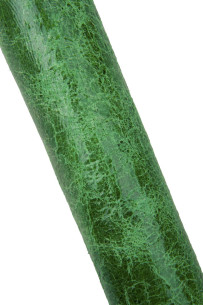 Pelle verde effetto... 2