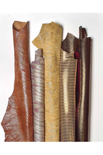 Set of 5 gold bronze and...