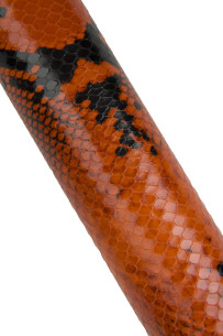 Orange PYTHON printed... 2