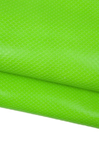 FLUO - NEON green reptile...