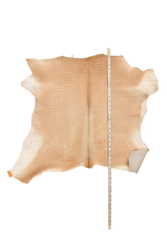 Beige PIERCED hair on leather hide,...